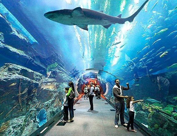 Underwater world pattaya