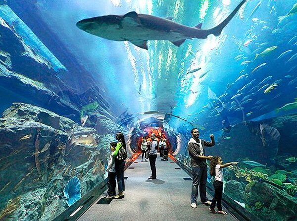 Underwater world pattaya