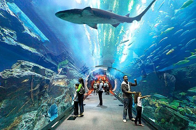 Underwater world pattaya