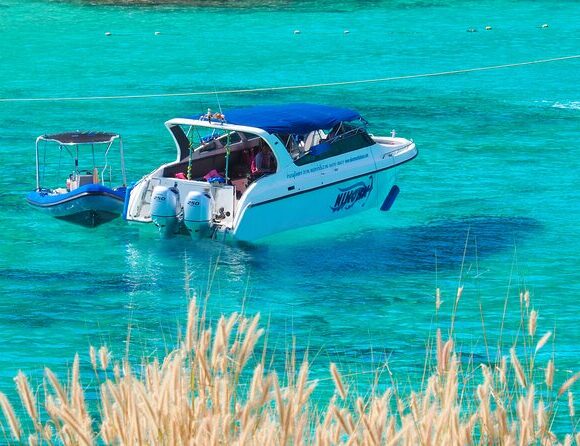 Phuket Coral Island by Speedboat With Lunch